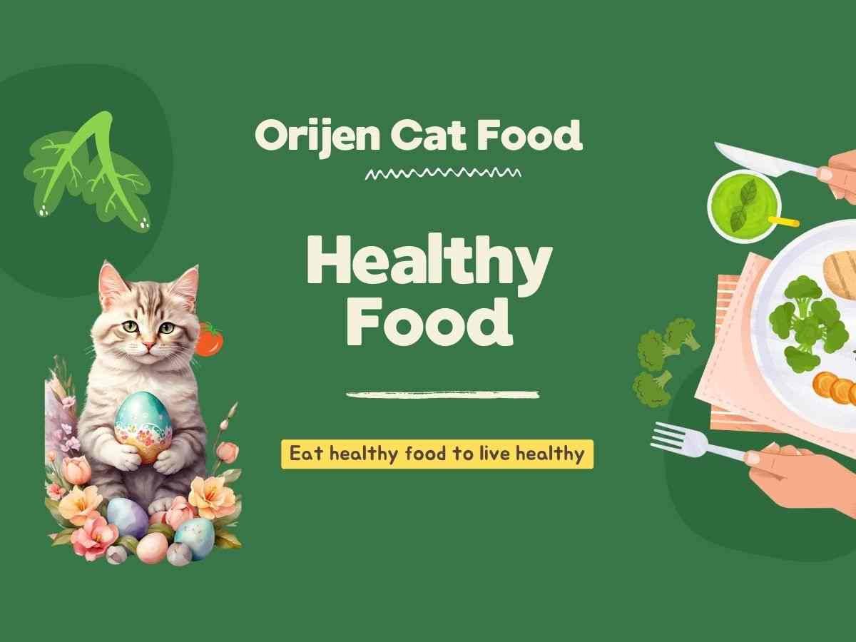 Orijen Cat Food