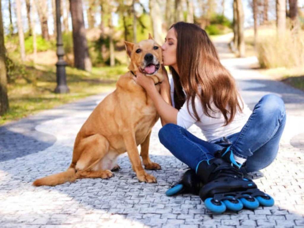 Dogs have stood by humans