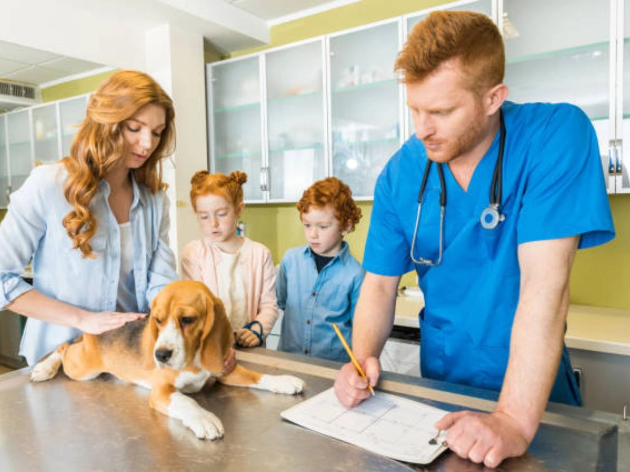 should I take my dog to the vet quiz?