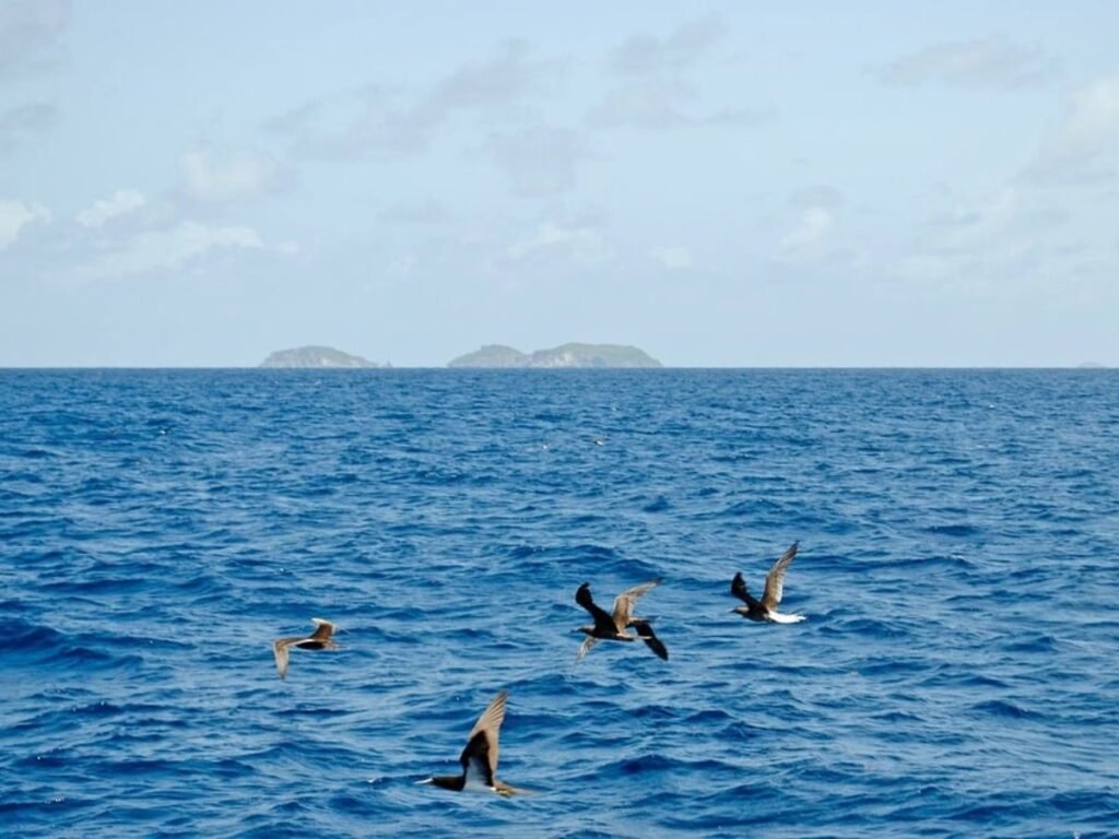 Bird Island Reservation