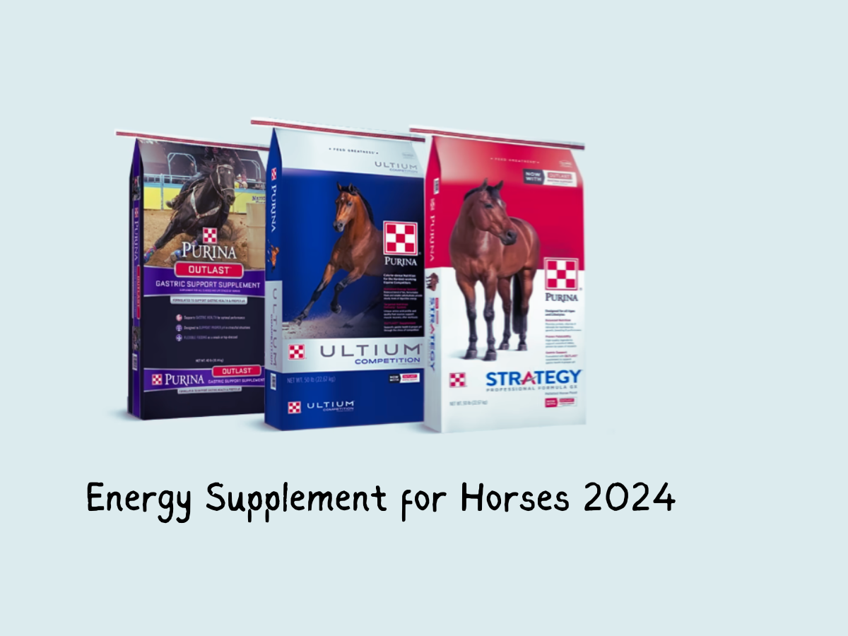 Energy Supplement for Horses