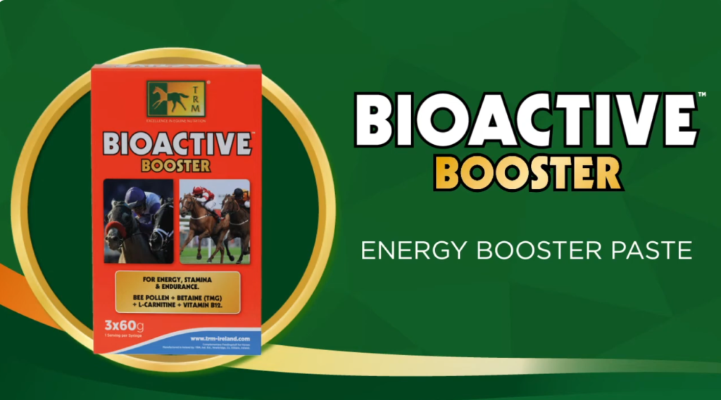 Energy Supplement for Horses