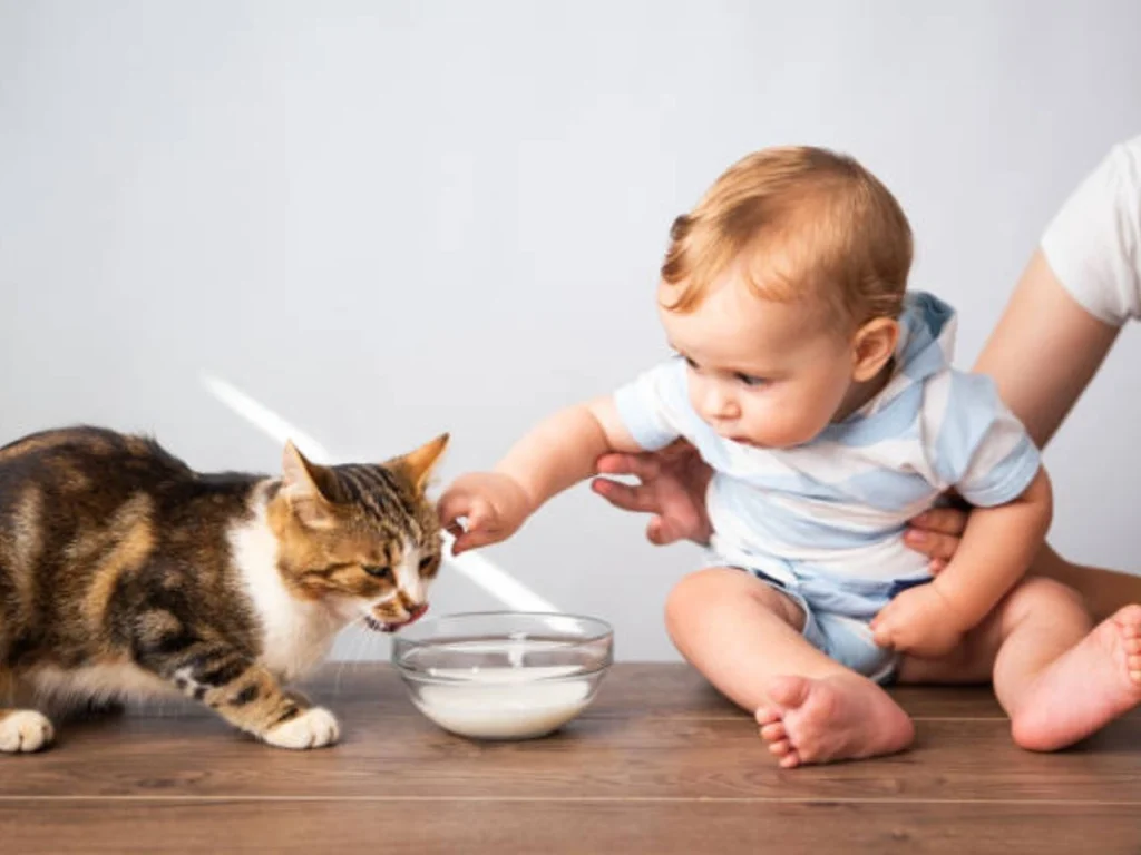 Gerber Baby Food Safe for Cats