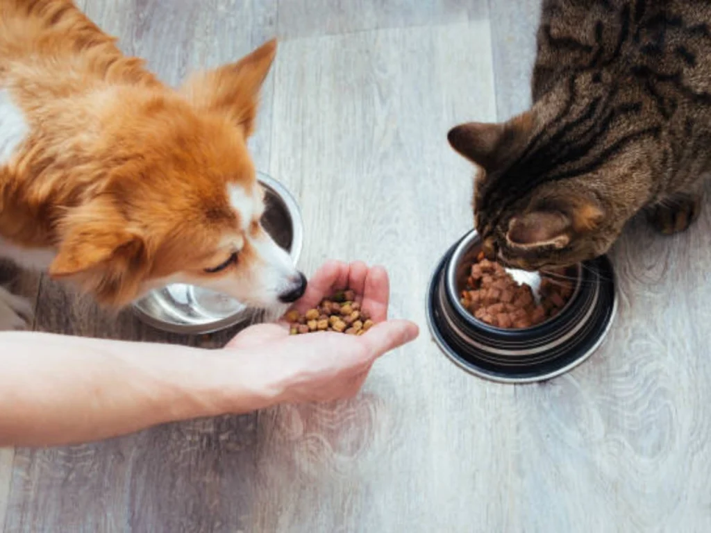 Science Diet Dog Food