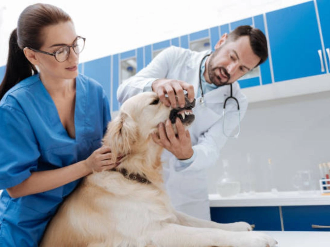 Vet's Best Dental Care Wipes for Dogs