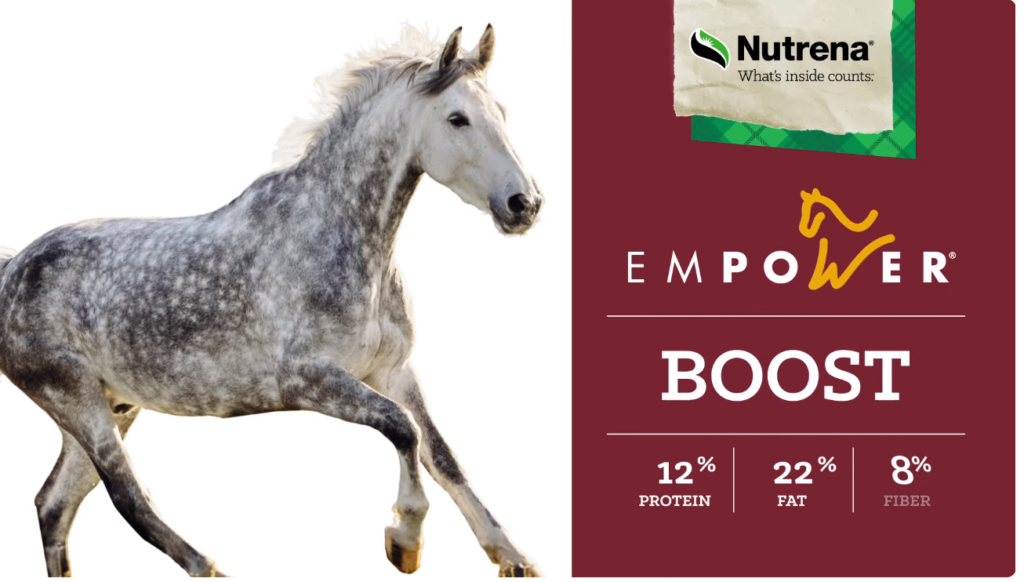 Energy Supplement for Horses