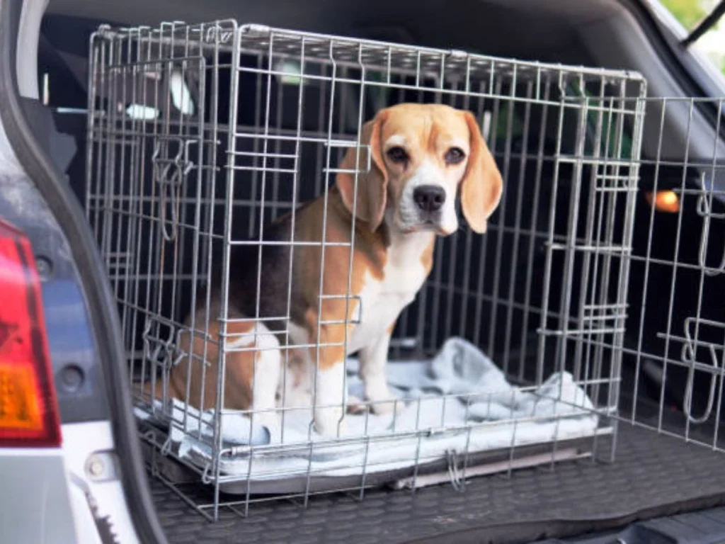 Can-Am Defender Dog Box