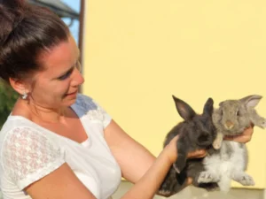 Friendliest Rabbit Breeds