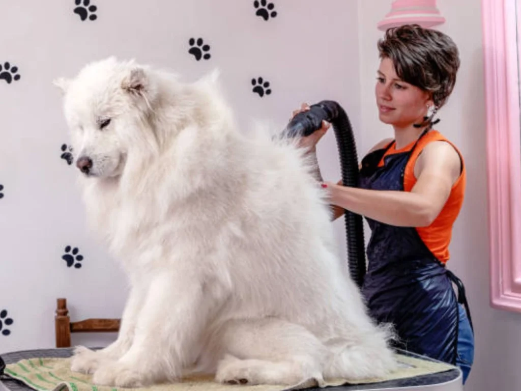 Long Does It Take to Groom a Large Dog