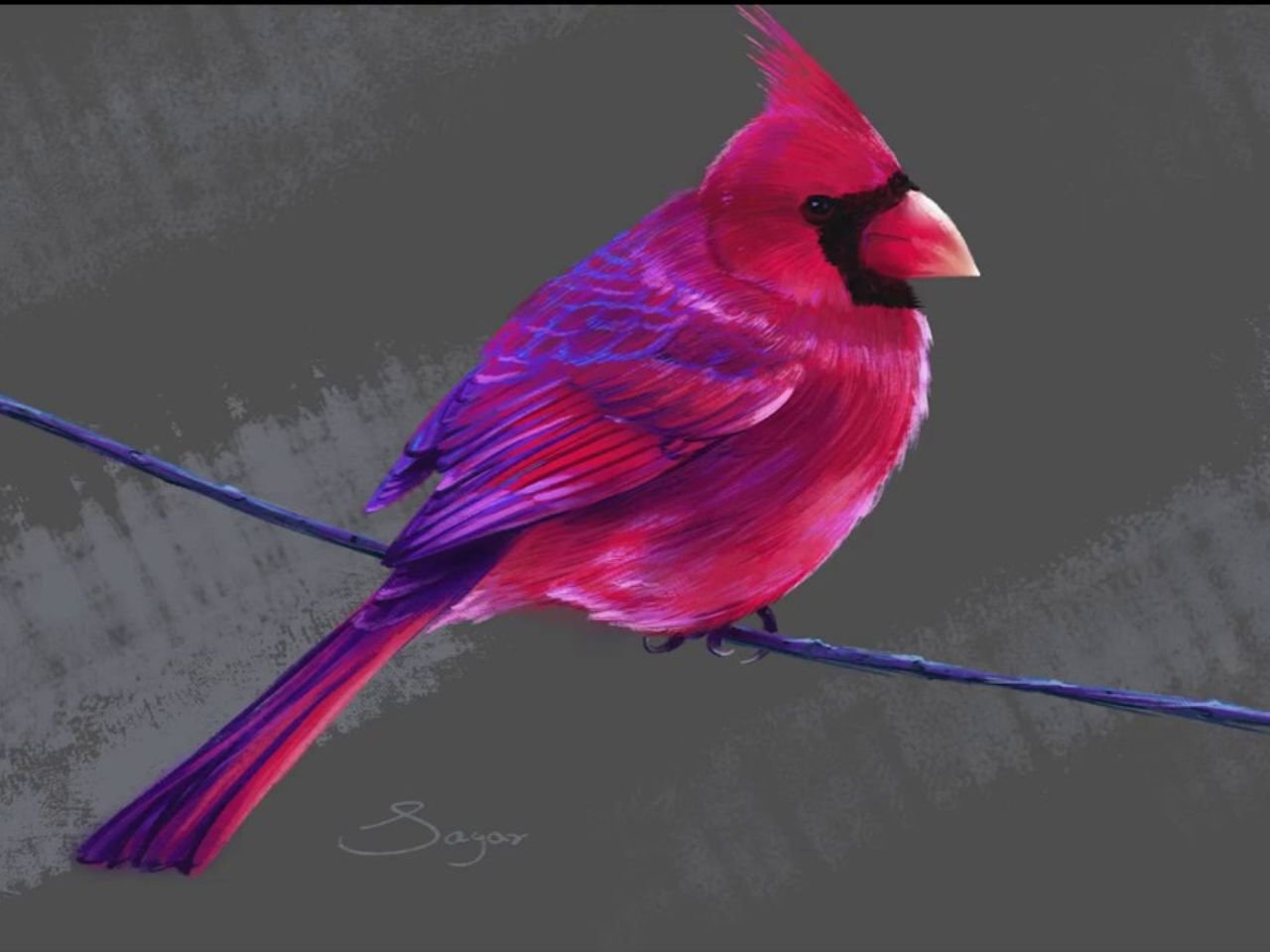 Purple Cardinal Bird