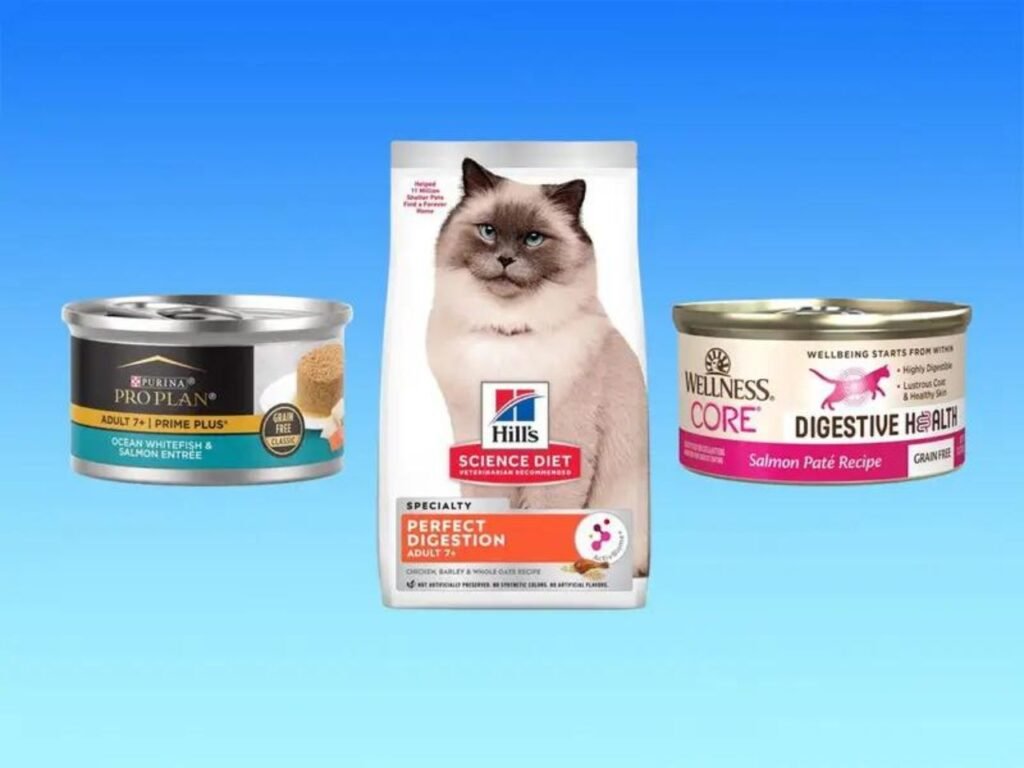 Best Canned Cat Food for Senior Cats