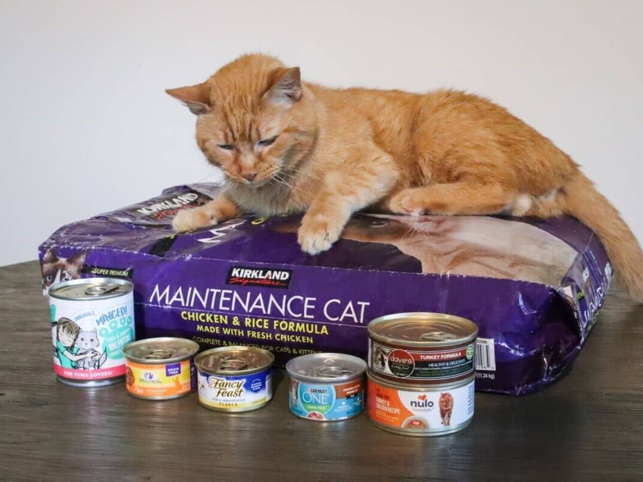 Best Wet Food for Diabetic Cats