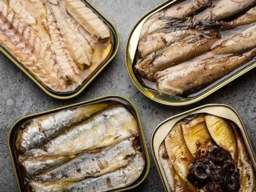 Can Cats Eat Sardines in Olive Oil