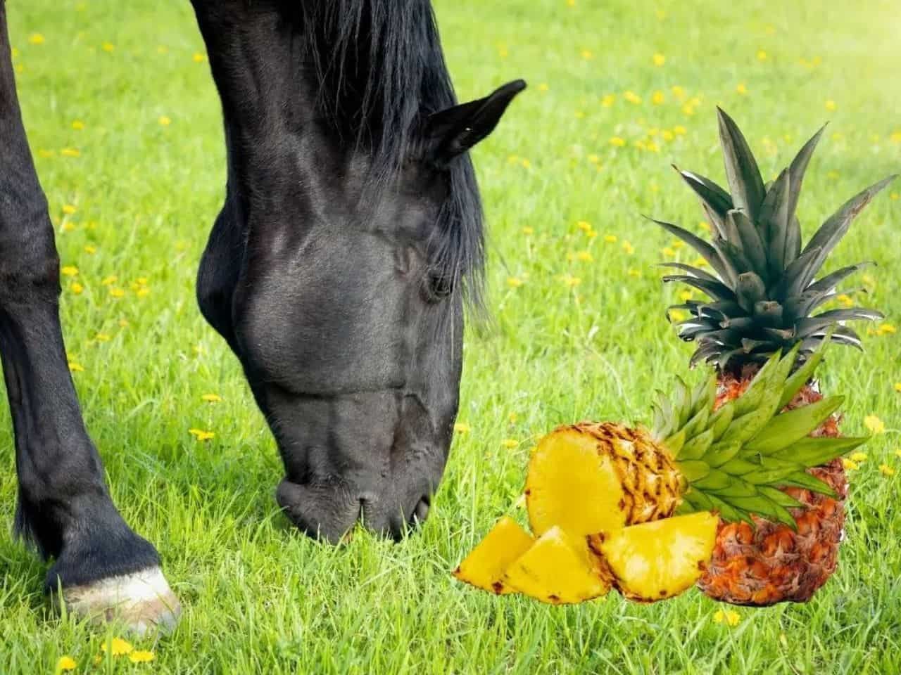 Can Horses Eat Pineapple