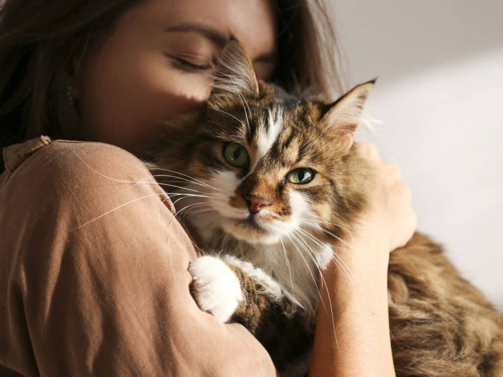 Do Cats Get More Affectionate With Age