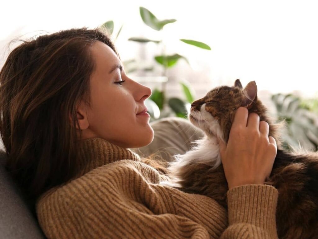 Do Cats Get More Affectionate With Age