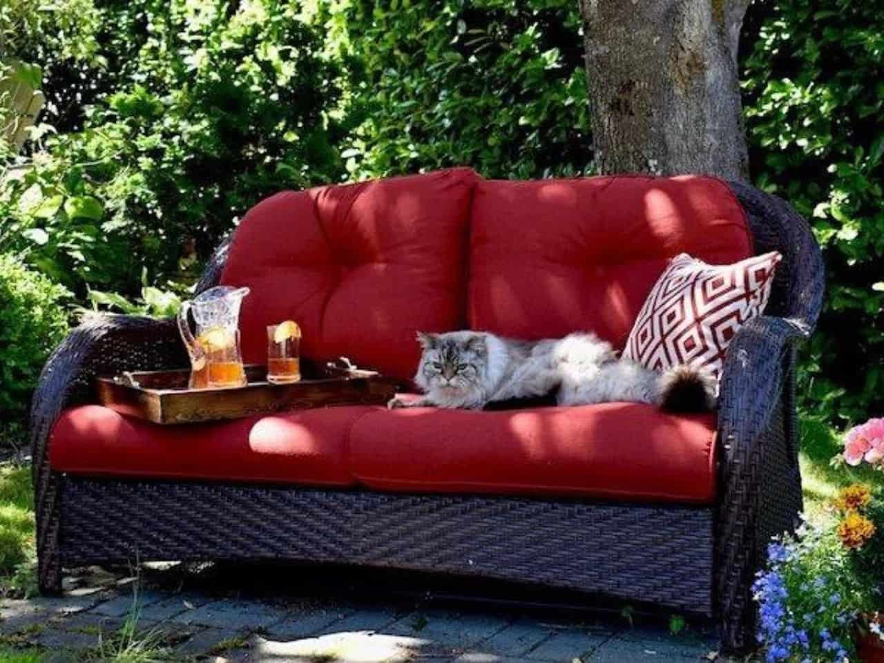 How to Keep Cats off Outdoor Furnitures